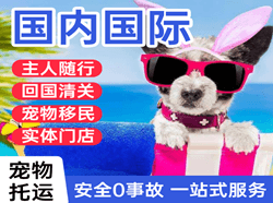 张掖甘州机场物流国际宠物托运 【国